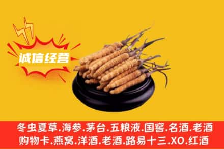 乌兰察布回收冬虫夏草